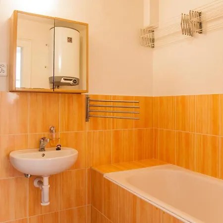 Apartment Vladislav Prague