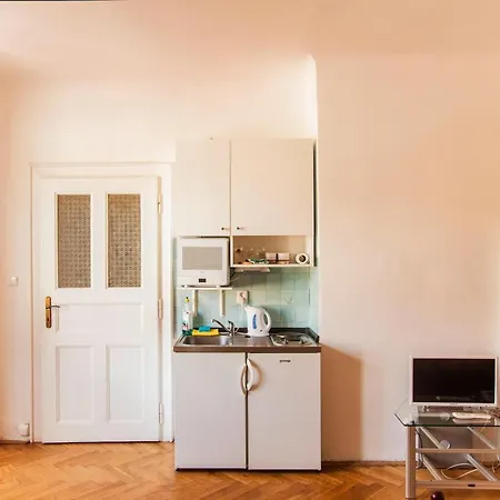 Apartment Vladislav Prague